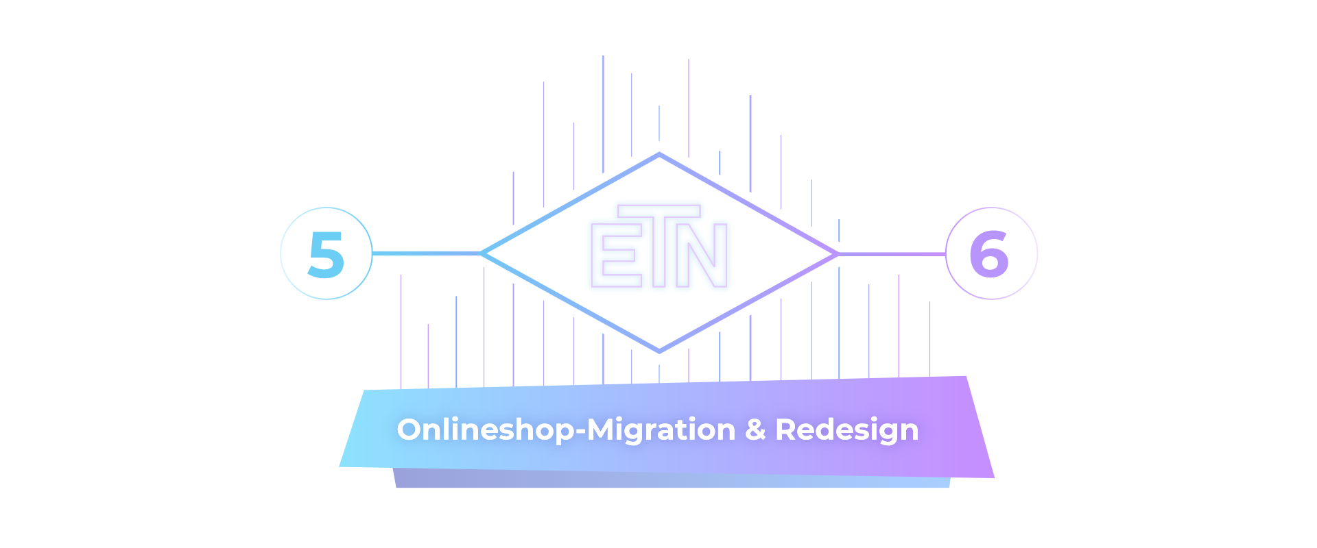 Shopware 5 zu Shopware 6 Migration